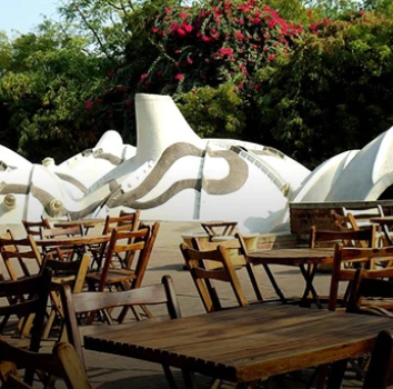 Zen Café